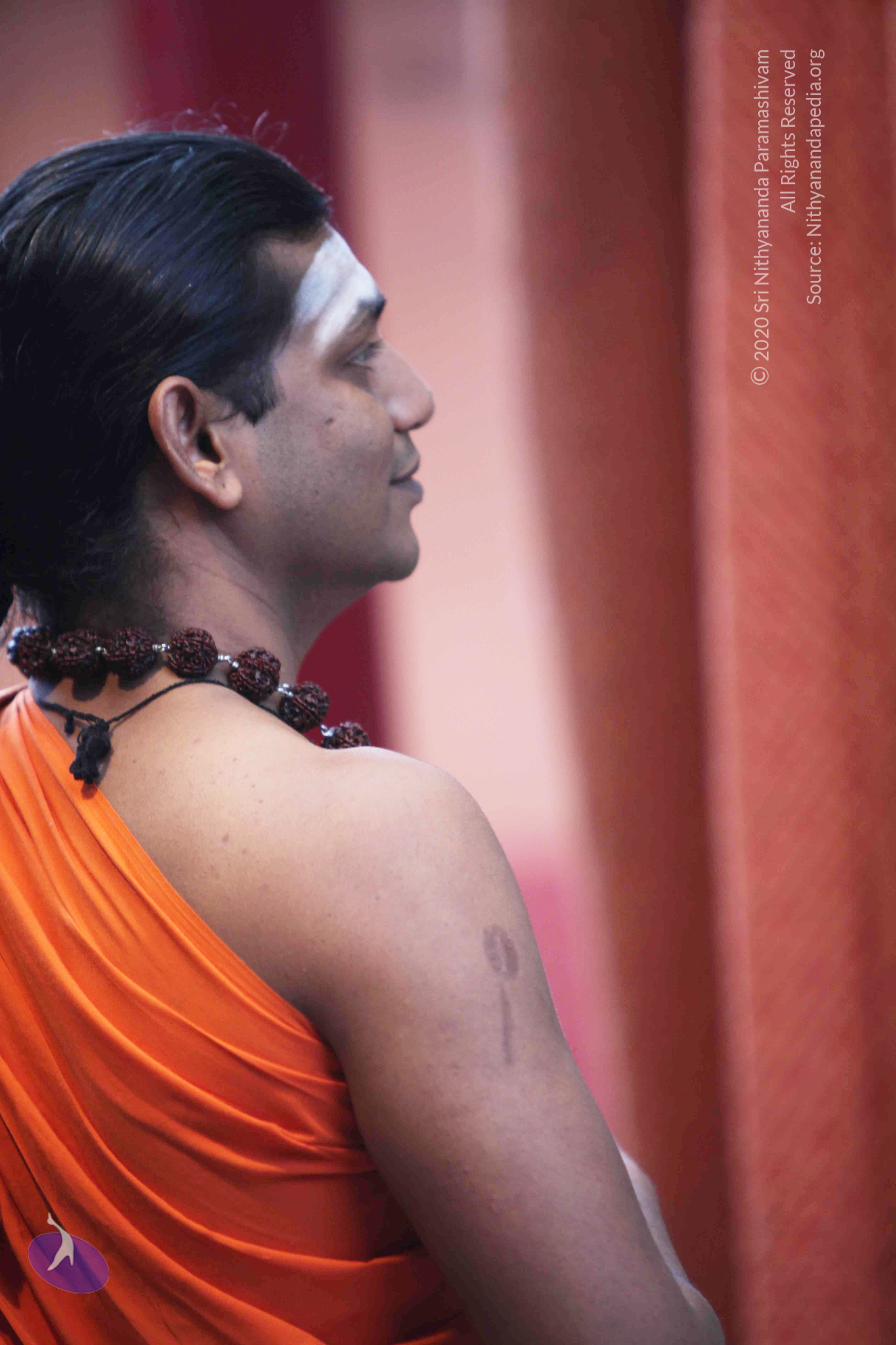 20110225_Photo_1008_IMG_0751_CMP_WM